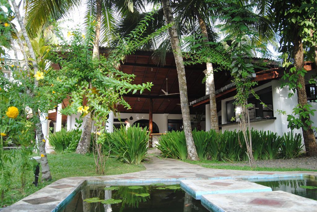 Paradise Garden Unawatuna Bagian luar foto